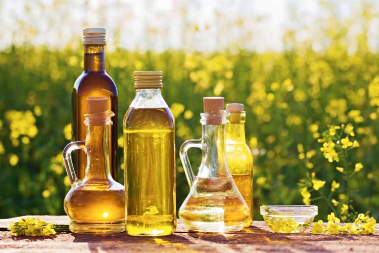 Haryana will get promotion of oilseed products.